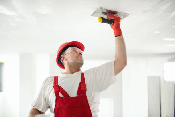 Best Fire-Damaged Drywall Repair  in Yorktown, IN